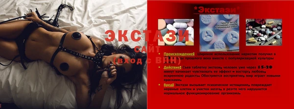 прущие грибы Вяземский