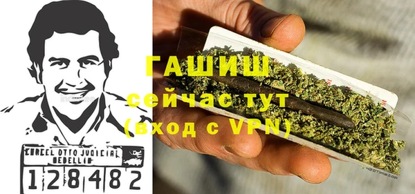 прущие грибы Вяземский