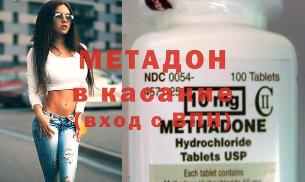 прущие грибы Вяземский